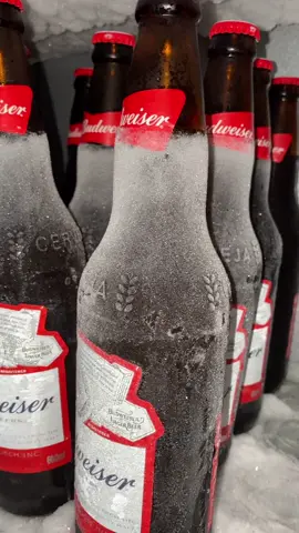 #budweiser #domingo #domingou #cervejagelada #cervejanevada #neve #cerveja #ambev #cervejapremium #trincando #cervejachallenge #puromalte #sabado #ber