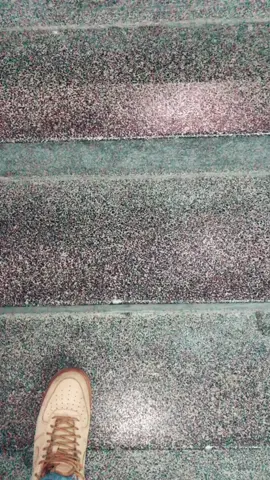 שמע ישראל השם אלוקינו השם אחד 🙏🏽❤️#ביתספרלמוסיקה #foryou #פוריוישראל #