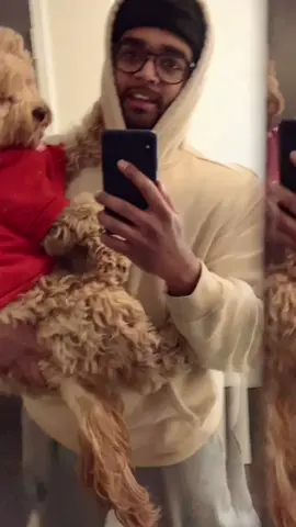 Having a dog with separation anxiety 🥺 #dogsoftiktok #puppylove #fyp #dog