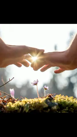 #красивоевидео #романтика #статусы #ИюльскаяЯ