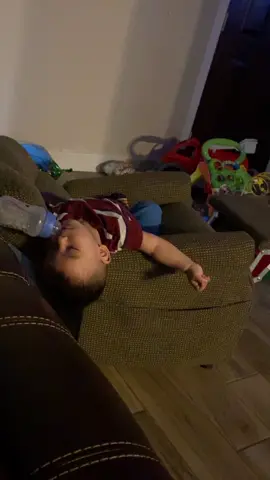 #lostrailerosperros #milkwasted