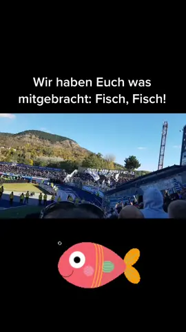 Rostock Fans bringen 🐟🐟 mit nach Jena! #fcc #fccarlzeissjena #hro #hansarostock #afdfch #fankurve #auswärtssindwirassozial