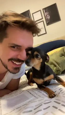 Ela queria mais! ♥️ #desafio #desafiobeijopet #beijo #amor