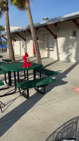 @thebackyardathlete