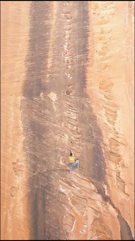 on top of the world #rockclimbing #zionnationalpark #adventure #climbing #travel #fyp