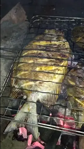 bakar ikan baronan.... #malangselatan🥰fypdong #lautselatan