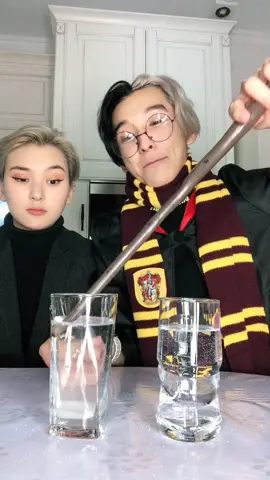 Draco Malfoy VS Harry Potter / @adaliatta / ⚠️fake poison⚠️