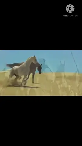 #الشيعة المهتدين#يالله# يامحمد#ياعلي#يافاطمة #ياحسن #ياحسين#يامهدي💕