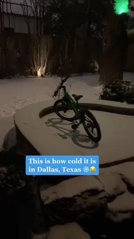 🚲 ❄️ #dallas #dallasweather #snowindallas #snow #dallassnow #texas