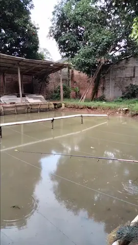 MANCING TAPI NGANGGUR #fyp #beranda #komedi #lucu #viral #ngakak #mancing #ikan #kolam #intermezzo #iseng