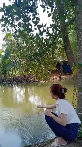 Lấy vợ Tiền Giang vừa dịu dàng lại vừa  đảm đang 😊😂😂