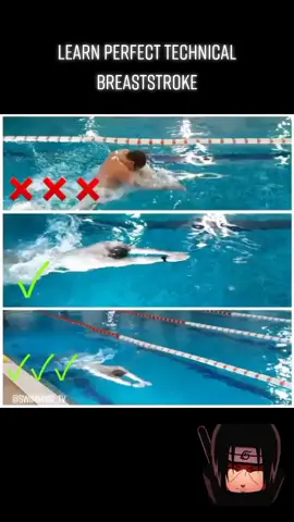 учимся идеальному брасу #брасс #прошуподпишись😊 #пуститеврек #зимниевидыспорта #roadtothe50k #врек #врекомендации #учимся #плавание #идеально #врек