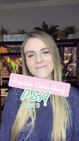 Reptile Cohabitation PSA: Part ✌🏼 #ethicalreptilekeeping #cohabitation #reptileconnection #reptilecommunity #spreadtheword