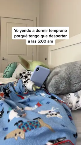 Todos los días de mi vida ☝🏻😧😂#babyyoda #grogu #humor #comedia #tiktok