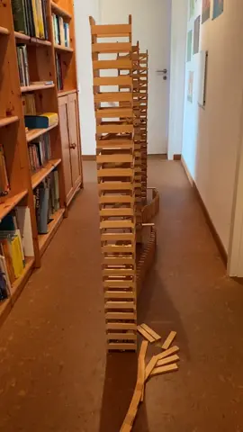 #fy #fyp #fgoviral #kapla #bioblo #domino #elsch @maxschrocki