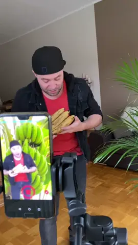 Jungle Tutorial #🌳 #🍌 #jungle #hungry #ernte #banane #banana #misterhix #hunger #банан #jungelcamp #tutorial #duisburg #köln #rtl #junglecamp #bonn