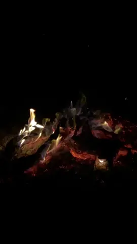 حزين من الششتاء ولا حزين من الظمى ياطير 💔💔#احلام_فنانة_العرب #حركة_الاكسبلور #مواجع #اكسبلوررررر #حزيــــــــــــــــن💔