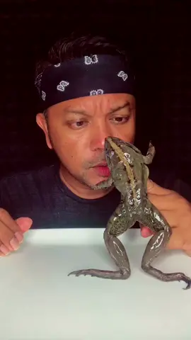 #คุณลุงโคโค #fyp #fypシ #จัดไป #กินโชว์ #mukbangeatingshow #asmr #mukbang #frog #สะดวกแบบนี้ #eating #กบ #กบอ๊บอ๊บ