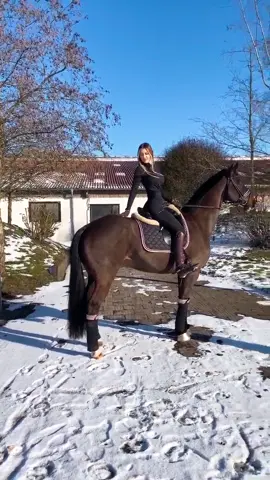 My soulmate 🦄💕✨ wie lange habt ihr euer Pferd/Pony schon ? Instagram: annchen.augustine #fy #foryou #equestrian