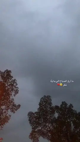 #مطر #الصباح #مطر🌧️ #امطار_الجنوب #صباح_السعادة
