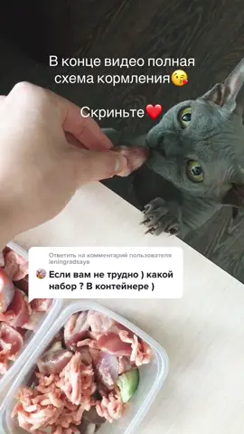 Ответить пользователю @leningradsaya  кому интересно, в какую сумму выходит натуральное питание? Дайте знать в комментариях❤️ #сфинкс #кошка