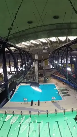 How long did it take you to find me in this video?👀🦋 #whereswaldo #20meters #bravegang #highdiving