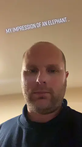 #impressions #elephant #elephantman #fyp #ratemyimpression #likeandfolllow #alwaysfollowback