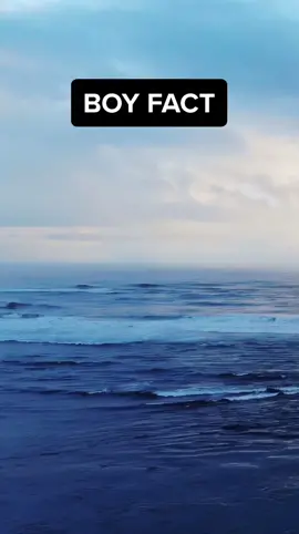 BOYS DO YOU AGREE  🥱                              #boy #fact #boyfacts #foryou #foryoupage #fyp #brokenheart #text #makemefamous
