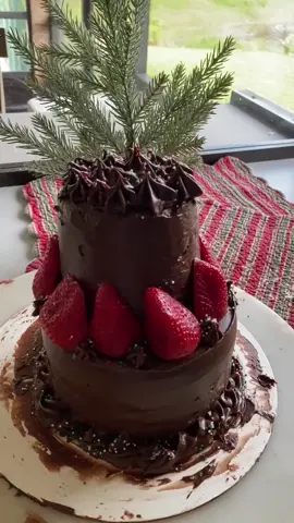 my very first 2 tiered vanilla cake with chocolate frosting<3🍰cd: 306 days🎄🎁#baking #cake #foryou #christmas #new #holiday #winter #snow #viral