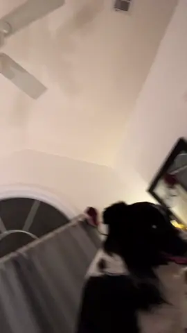 um #fyp #foryou #foryoupage