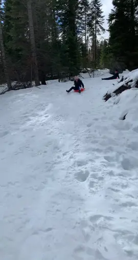 🤣sooo that fucked up my back, send help 😂 #snow #shaverlake #sleghride #fyp #funny