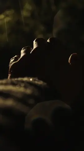 And what comes with the night has filled my day, to be tired while awake. #fypシ #xyzbca #VisionBoard #RareAesthetic #pureimagination #sun #moon