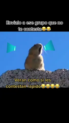 Énvialo a ese grupo que no contesta😂😂😂#fyp #parati #like #foryou #viral #comedia #humor #followformorevideos😊comments#daleal(❤️)(+)↪️otroycancelar