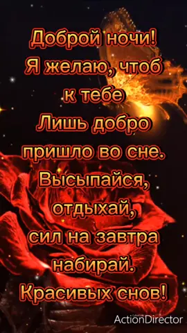 ###Доброй ночи! Красивых снов!💞💞💞###