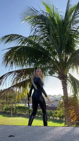 Adrien dissing himself is 100% one of my favorite things on this earth #miraculousladybug #adrien #chatnoir