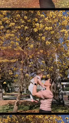 A lil @pigfloyds picnic 🥲💘 #picnic #outdoorlife  #fyp #orlando