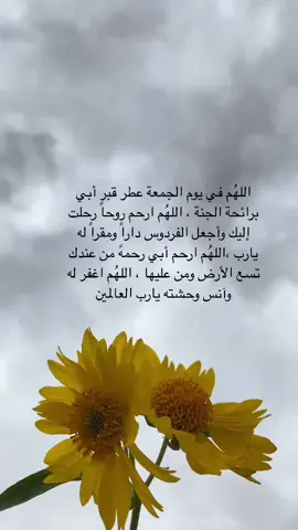 #trend #explore #يوم_الجمعة #اللهم_ارحم_ابي