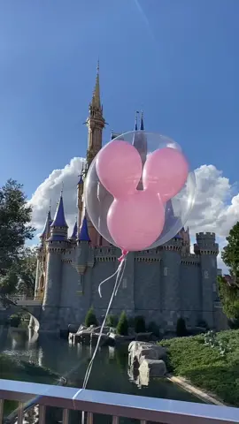 Reach out and find your happily ever after #fyp #foryou #foryoupage #disneytiktok #disney #disneyworld #magickingdom #cinderellacastle