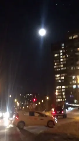 Elon Musk said it #crypto #dogecoin