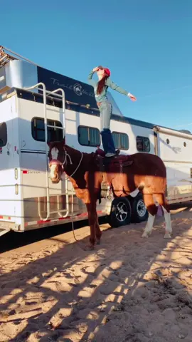 snoopers & I had to hop on the trend ;)) #trend #cowboy #horse #upcycling #homecook #dramaticmoments #somethingyoulearned #arizona #rodeo