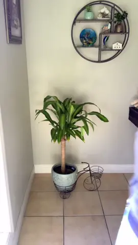 😬😬😂 #fyp #parati #elmoñoñongo