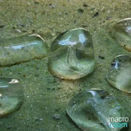 Ice ice baby #timelapse #ice #macro #amazing