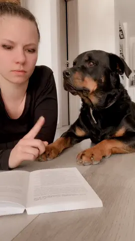 Frauenlogik 😂👌 #rottweiler #rottweilersoftiktok #hundeliebe #hundevideos #hund #hundeauftiktok #rottweilermom #foryoupage #viral