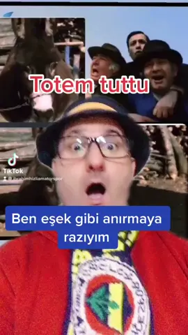 Eşek gibi anırıyorum Fenerbahçe yendi. Totem yaptım tuttu. #fenerbahçem #trabzonspor #galatasaray1905 #beşiktaş1903