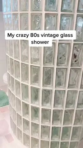 Peek of my crazy #80s #vintage #glassblock #shower 🚿 #80saesthetic #glasswork #hometour #bathroominspo #homedecor #vintagehouse #diydecor #80svibes