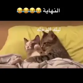 ليله الدخله هاهاهاها #explore #