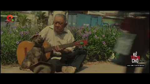 Tôi Chẳng Biết Lòng Người Tính Toán làm gì Cứ mãi Hơn Thua