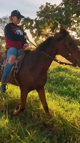 Vida boa aqui em Minas 🐎🍂⛅️❤️ resumo dos meus dias ! #vidaboa #fazenda #mylife #fypシ゚viral #prati