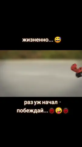 ох уж этот мир насекомых...😅🤣😂 #питер #рэк #насекомые #букашки
