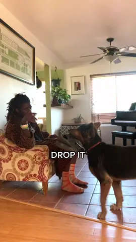 Slide In, Slide Out ~ #DogTraining #servicedog #fyp